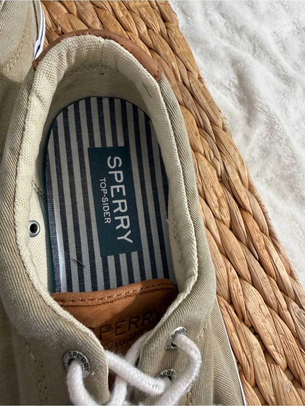 Sperry elevate your